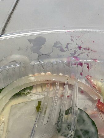 Lily Bs Famous Sandwich Shop